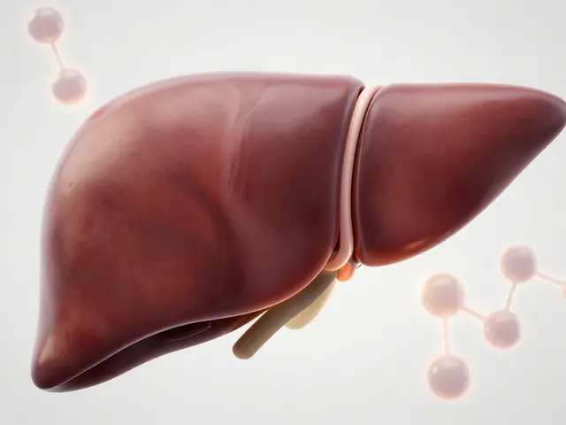 Co snižuje alkohol v krvi? Rychlé tipy a mýty o detoxikaci